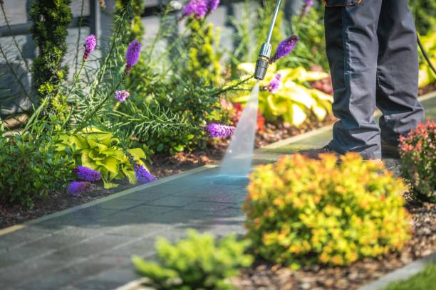 Best Spring Cleaning  in Saranac Lake, NY